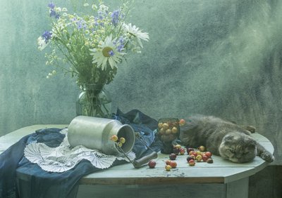Chat endormi et cerises - UstinaGreen
