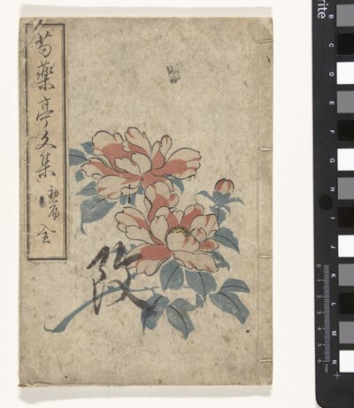 Anthologie de pivoines - Utagawa (school of)