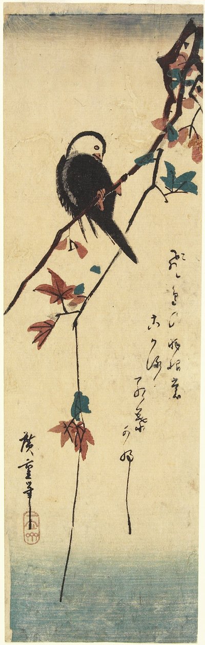 Oiseau sur une branche d