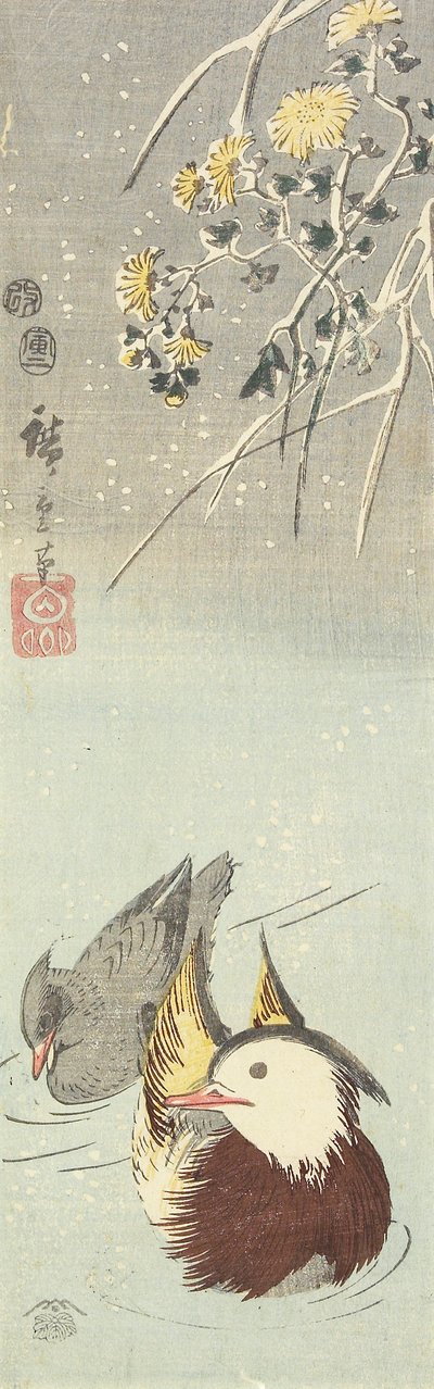 (Chrysanthème et canards mandarins), février 1854 - Utagawa Hiroshige