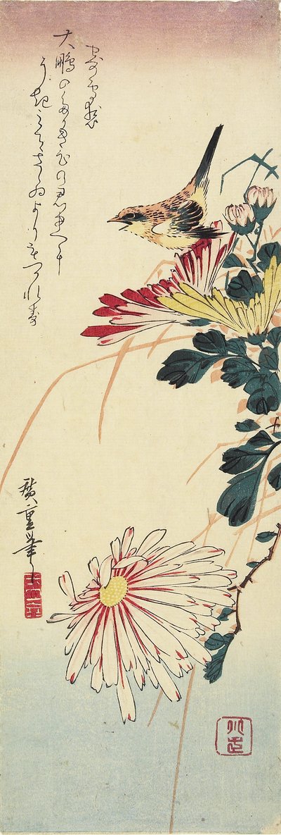 (Chrysanthèmes et une pie-grièche), 1830-1858 - Utagawa Hiroshige