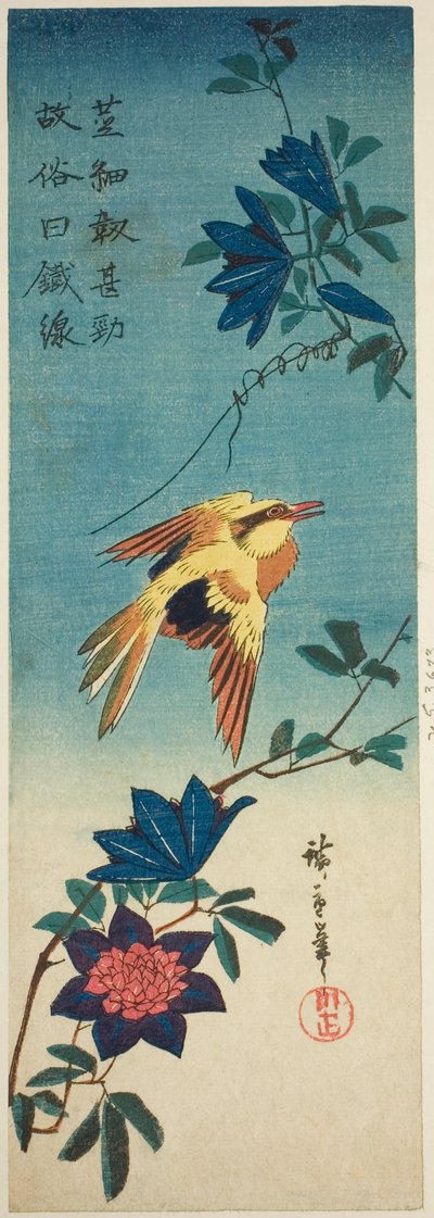 (Fac-similé ?) Loriot à nuque noire et clématite - Utagawa Hiroshige