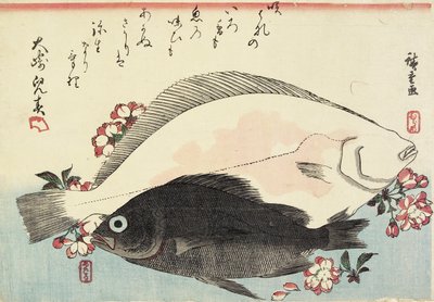 (Flétan et Bar Noir, Fleurs de Cerisier) - Utagawa Hiroshige