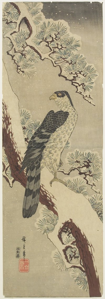 (Faucon sur une branche de pin, hiver), début du 19ème siècle - Utagawa Hiroshige