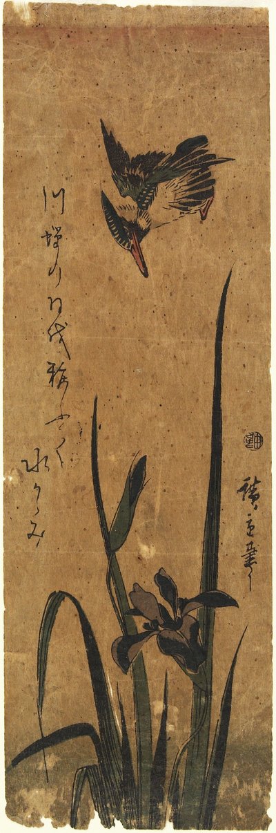 Iris et Martin-pêcheur, 1830-1858 - Utagawa Hiroshige