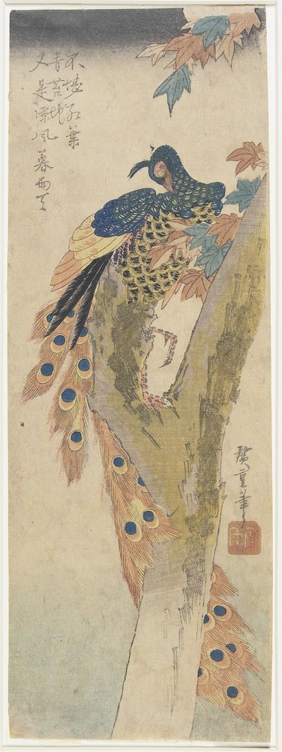 Paon sur un érable, début du 19e siècle - Utagawa Hiroshige