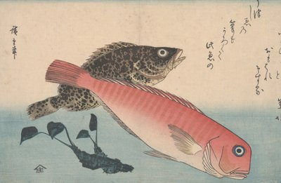 Amadai, Mebaru et racine de wasabi - Utagawa Hiroshige