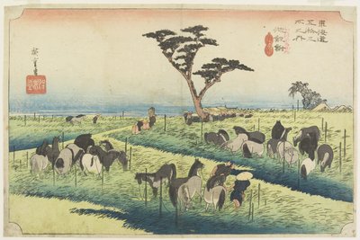 Foire aux chevaux d