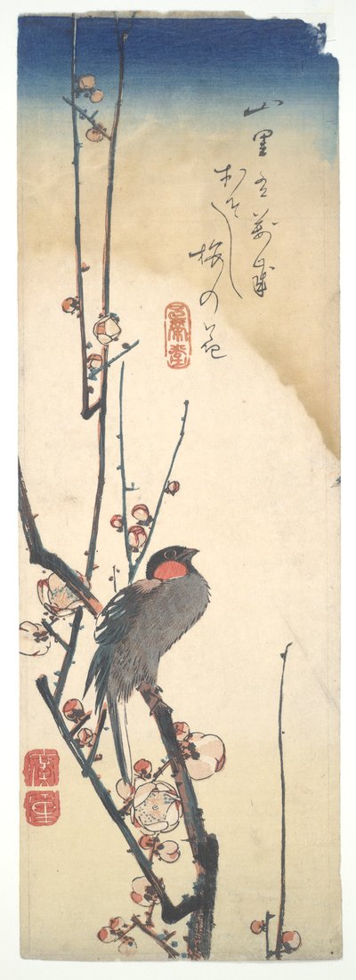 Oiseau et prunier - Utagawa Hiroshige