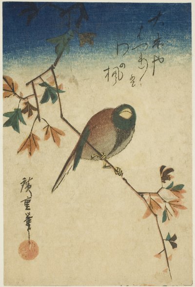 Oiseau sur une branche d