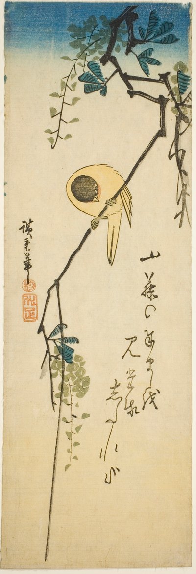 Oiseau sur Glycine Soyeuse - Utagawa Hiroshige
