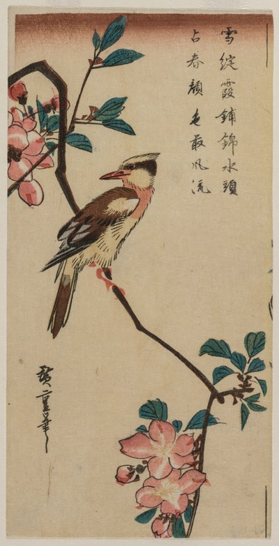 Loriot à nuque noire (Fauvette coréenne) sur un pommier hall - Utagawa Hiroshige