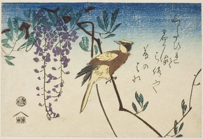 Loriot à nuque noire et glycine - Utagawa Hiroshige