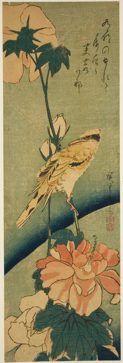 Loriot à nuque noire sur hibiscus - Utagawa Hiroshige
