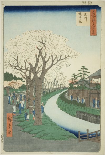 Fleurs sur la berge de la rivière Tama (Tamagawa-zutsumi no hana), de la série Cent vues célèbres d