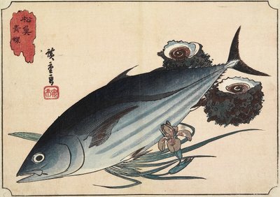 Bonite et Coquilles de Top, début du 19ème siècle - Utagawa Hiroshige