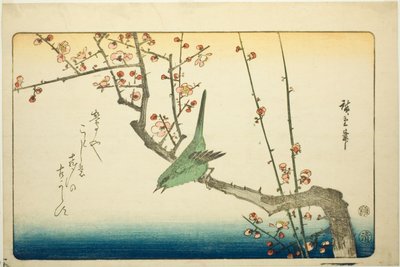 Bouscarle sur branche de prunier - Utagawa Hiroshige