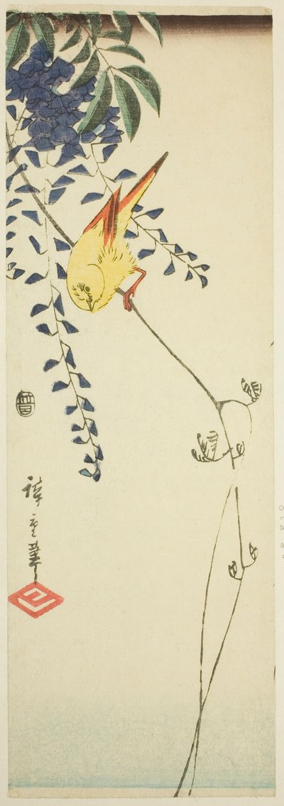 Canari et glycine - Utagawa Hiroshige