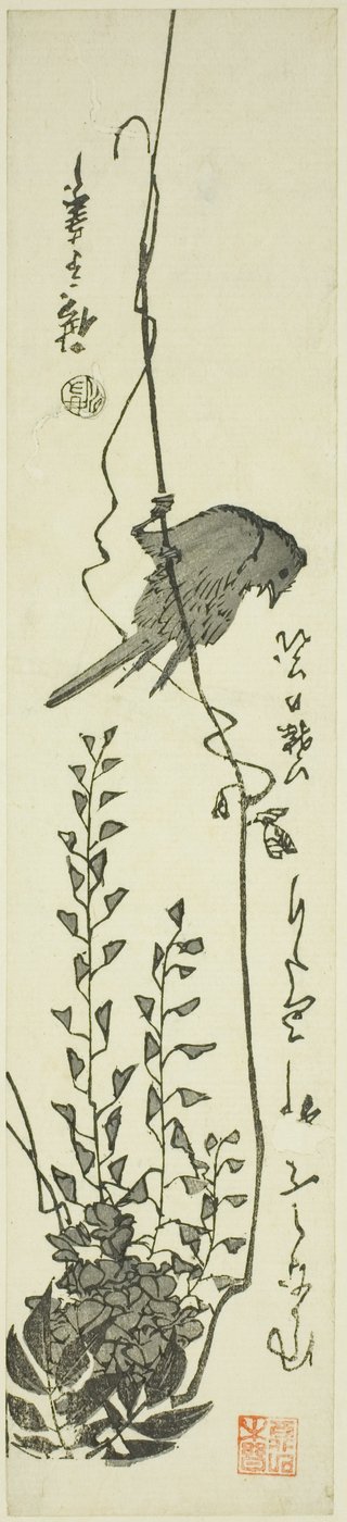 Canari et glycine - Utagawa Hiroshige