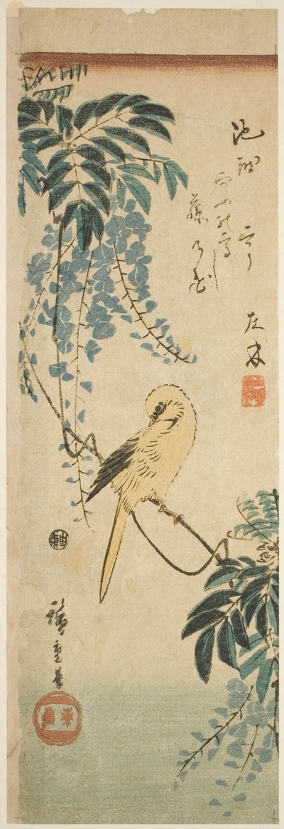 Canari et glycine - Utagawa Hiroshige