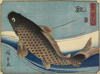 Carpe, 1830-1844 - Utagawa Hiroshige