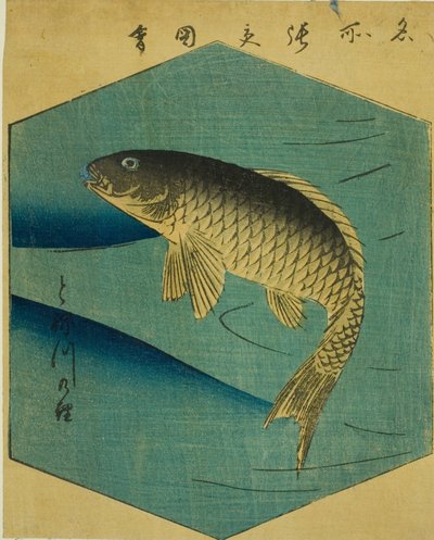 Carpes dans la rivière Tone (Tonegawa no koi), section d