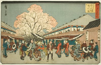 Jour de cerisiers en fleurs sur le Nakanocho du Yoshiwara, de la série "Lieux célèbres d