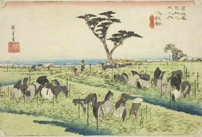 Chiryu: Marché aux chevaux de début d