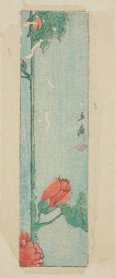 Enveloppe avec hibiscus - Utagawa Hiroshige