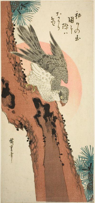 Faucon sur un pin avec le soleil levant - Utagawa Hiroshige