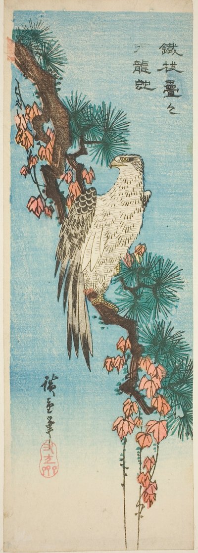 Faucon sur une branche de pin couverte de lierre - Utagawa Hiroshige