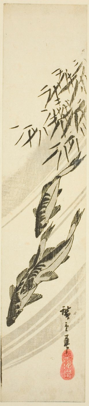 Poissons dans un Ruisseau - Utagawa Hiroshige