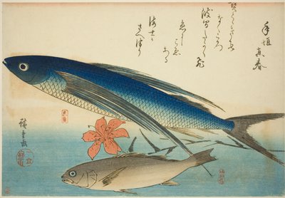 Poisson volant et Ichimochi, d