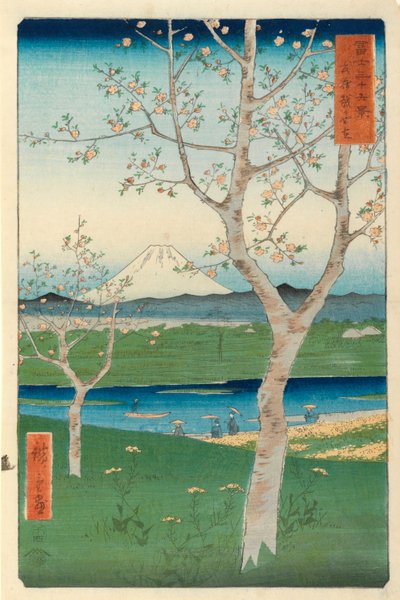 Fuji de Koshigaya, Mushashi, n°14 de la série 
