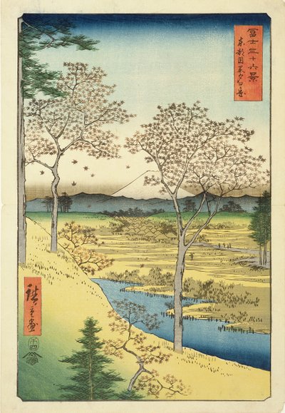 Fuji de Yuhi-Ga, Megwo, n°10 de la série 