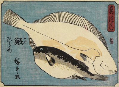 Poisson-globe et plie, 1830-1844 - Utagawa Hiroshige