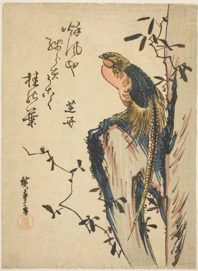 Faisan doré - Utagawa Hiroshige