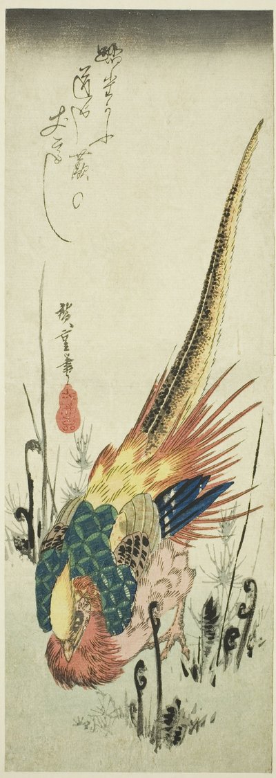 Faisan doré et fougères - Utagawa Hiroshige