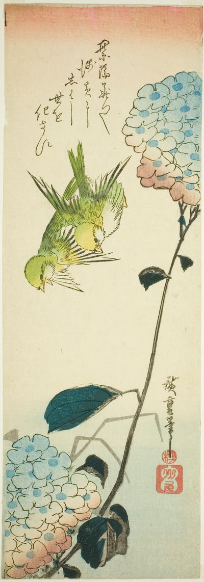 Oiseaux verts et hortensias - Utagawa Hiroshige