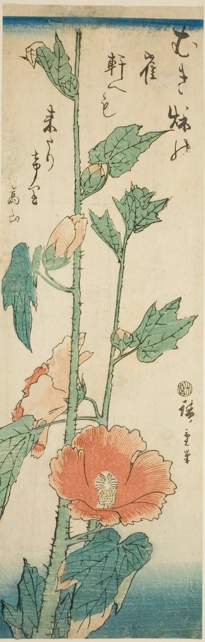Hibiscus - Utagawa Hiroshige