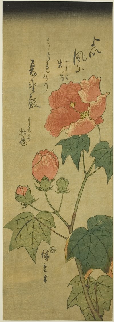 Hibiscus - Utagawa Hiroshige