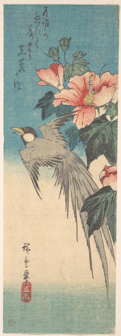 Hibiscus Mutabilis und Langschwanzvogel - Utagawa Hiroshige