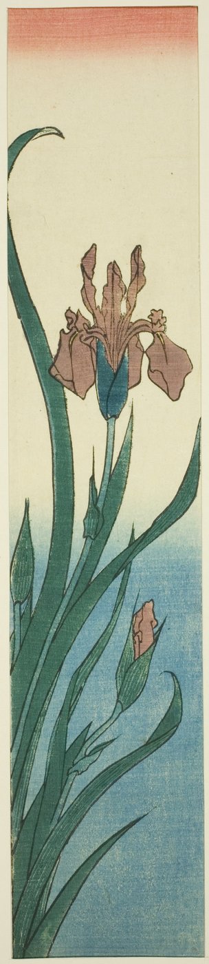 Iris - Utagawa Hiroshige