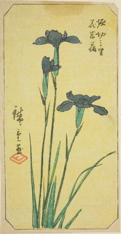 Iris au village de Horikiri (Horikiri no sato hanashobu), section d