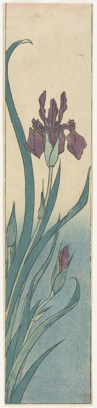 Iris, début du 19ème siècle - Utagawa Hiroshige