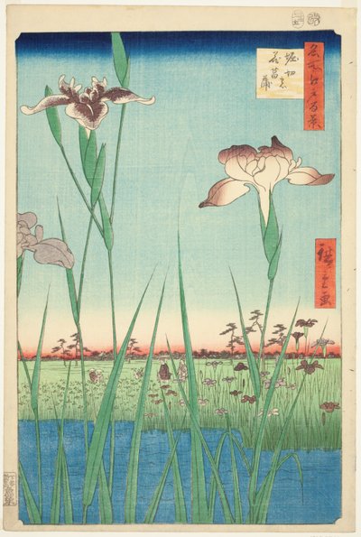 Iris à Horikiri (Horikiri no hanashobu), de la série "Cent vues célèbres d