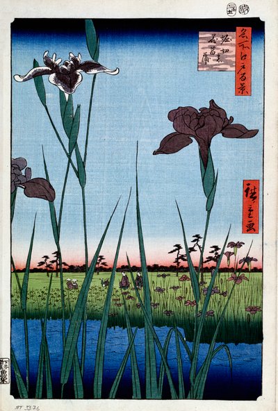 Iris à Horikiri Cent vues célèbres d