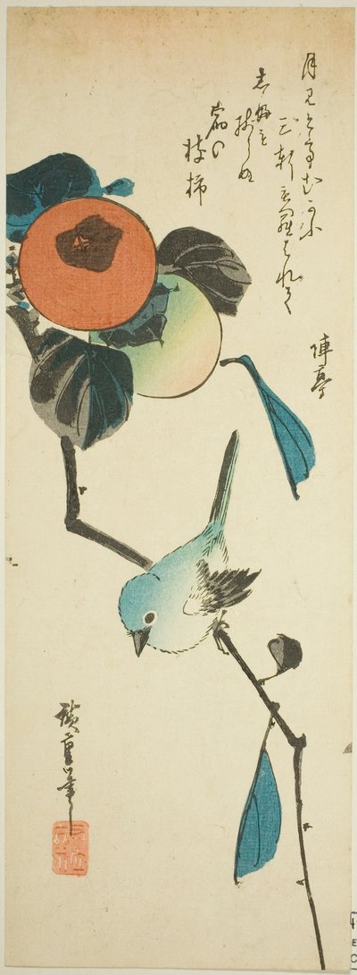 Oiseau à lunettes japonais et kakis - Utagawa Hiroshige