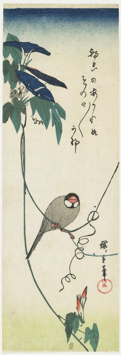 Moineau de Java et gloires du matin, 1834-1839 - Utagawa Hiroshige
