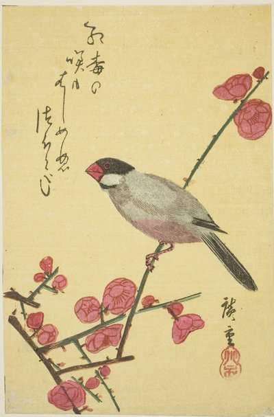Moineau de Java sur une branche de prunier - Utagawa Hiroshige